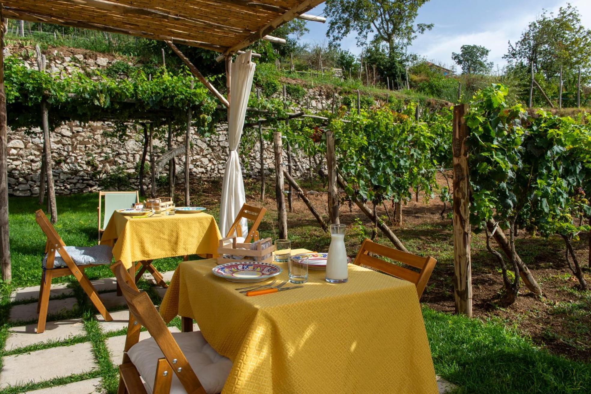 Bed and Breakfast Il Vigneto Di Nonno Pietro Аджерола Экстерьер фото