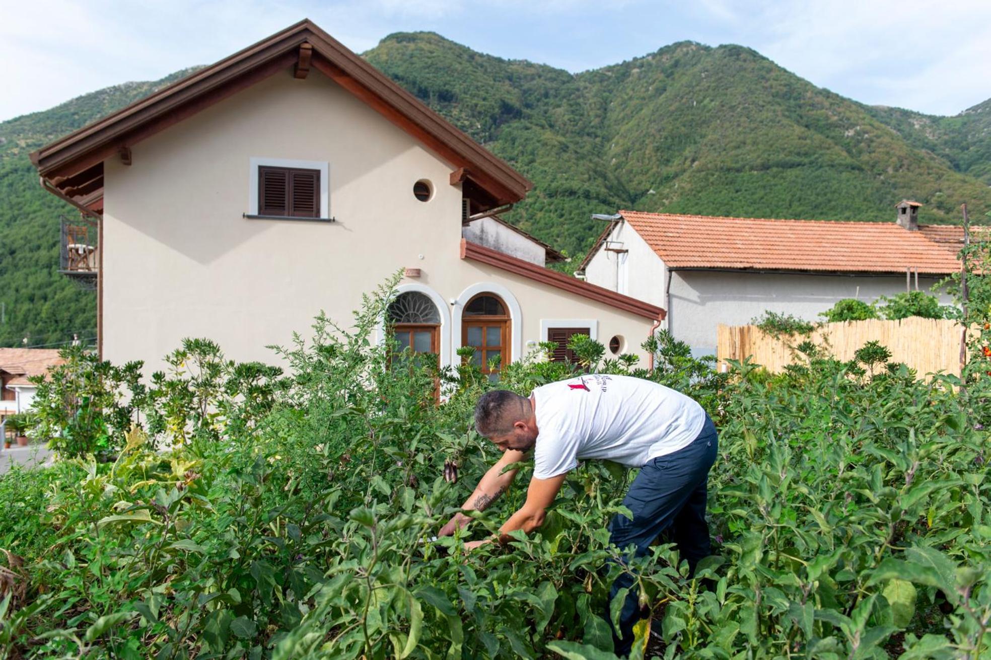 Bed and Breakfast Il Vigneto Di Nonno Pietro Аджерола Экстерьер фото