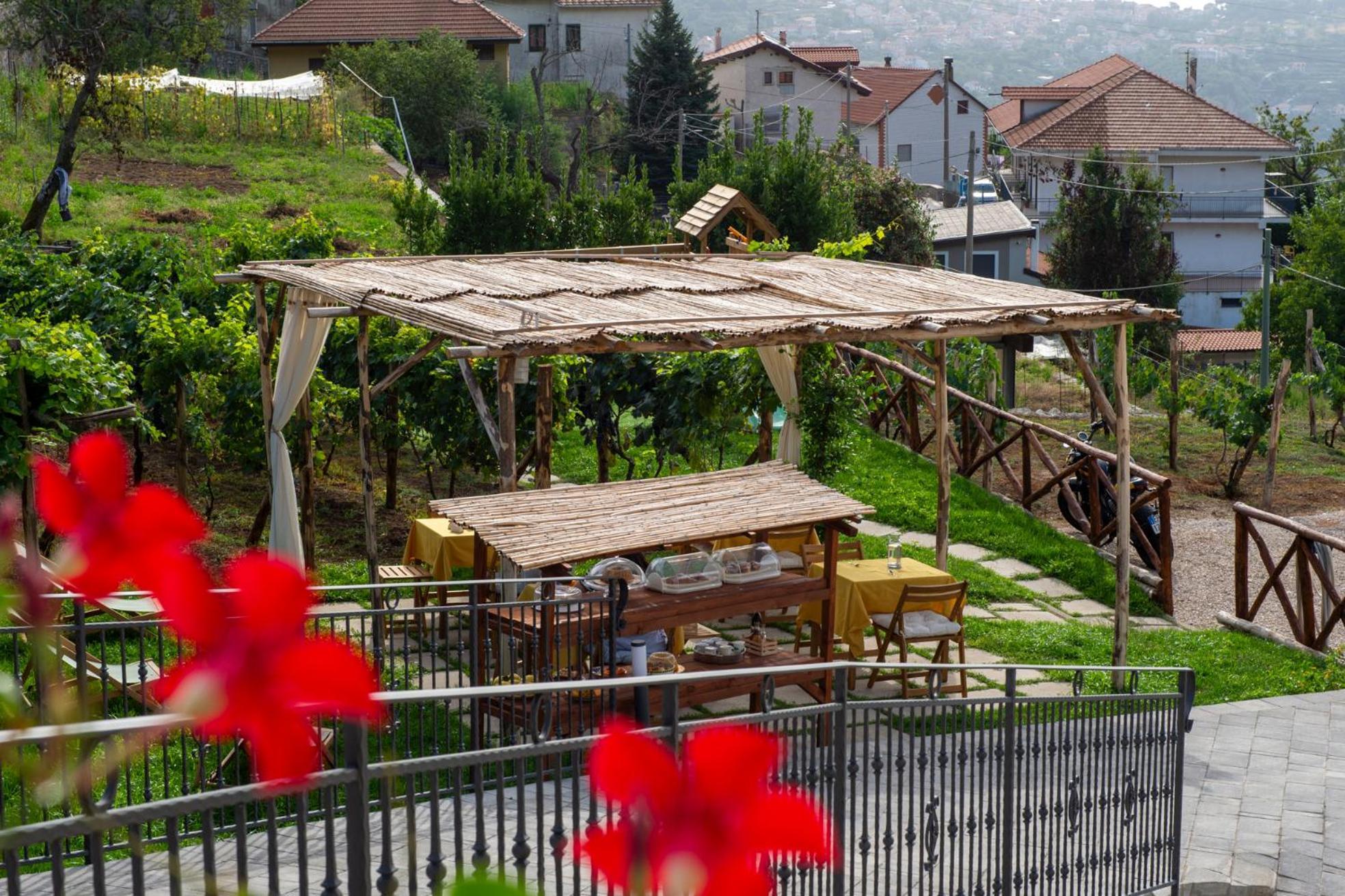 Bed and Breakfast Il Vigneto Di Nonno Pietro Аджерола Экстерьер фото