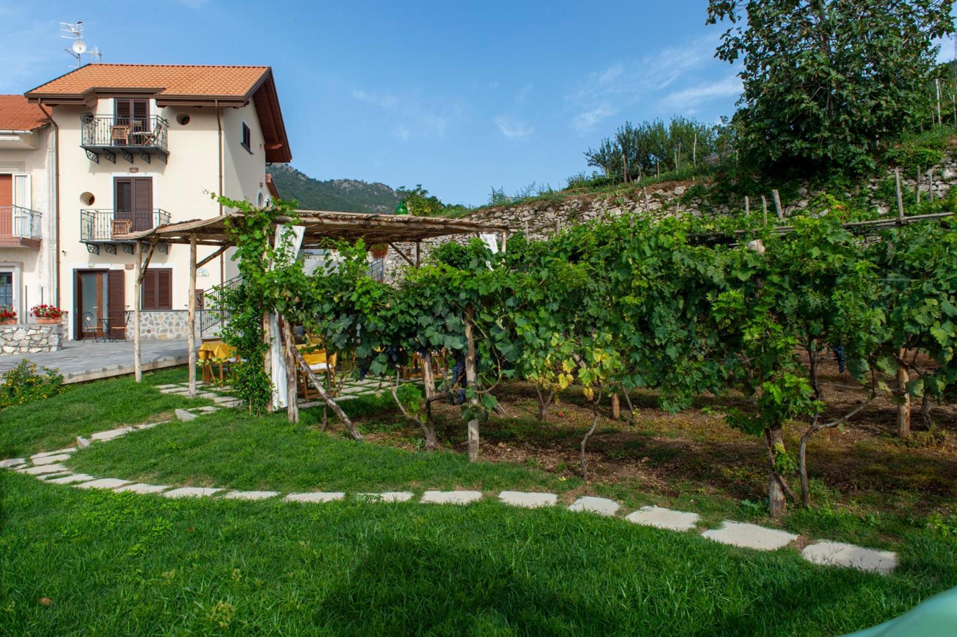 Bed and Breakfast Il Vigneto Di Nonno Pietro Аджерола Экстерьер фото